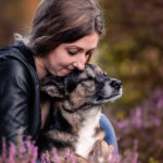 Fotoshooting mit Hund, Heideblüte